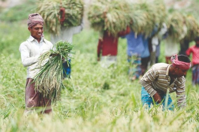 Bangladesh Launches Farmers’ Card to Strengthen Rural Resilience and Inclusive Food Security Systems