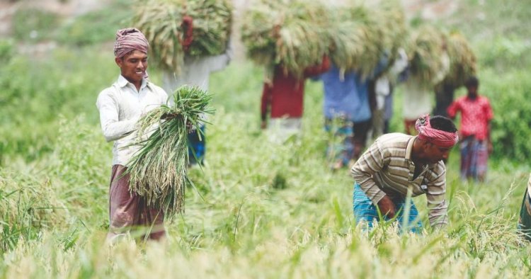 Bangladesh Launches Farmers’ Card to Strengthen Rural Resilience and Inclusive Food Security Systems